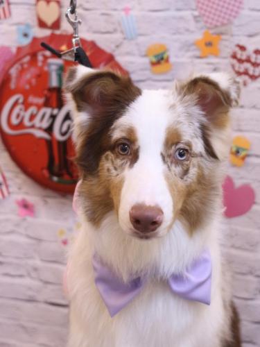 20230921レイくん